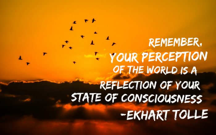 Remember, your perception of the world is a reflection of your state of consciousness - Ekart Tolle